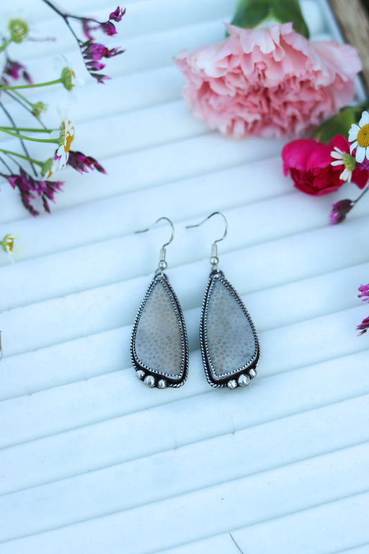 Fossilized Coral Earrings